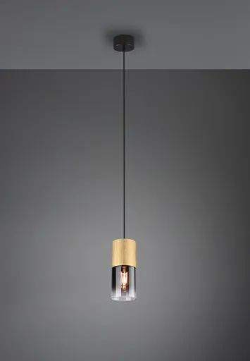 Lustra Robin, TRIO, 10x150 cm, 28W, 1x E27, metal, negru/bronz mat