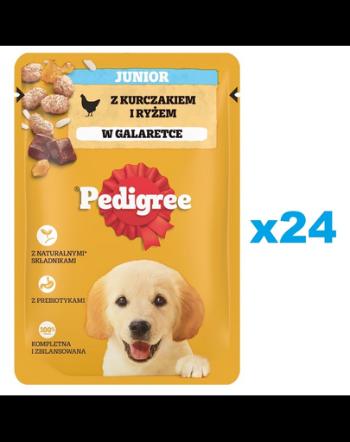 PEDIGREE Junior 24x100g Hrana umeda cu pui si orez pentru catei