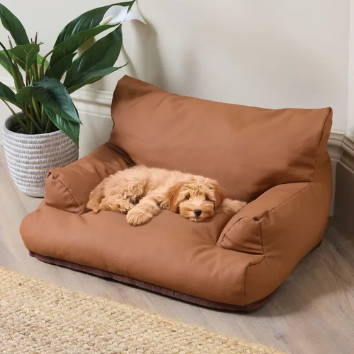 Pet canapea extensibilă L