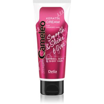 Delia Cosmetics Cameleo Smooth & Shine 60 sec crema de par pentru un par stralucitor si catifelat 250 ml