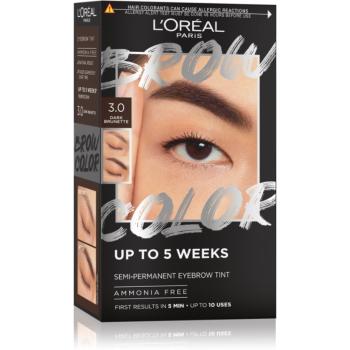 L’Oréal Paris Brow Color culoare pentru sprancene culoare 3.0 Dark Brunette 1 buc