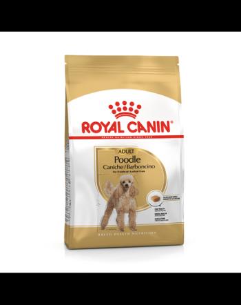 Royal Canin Poodle Adult hrana uscata caine, 1.5 kg