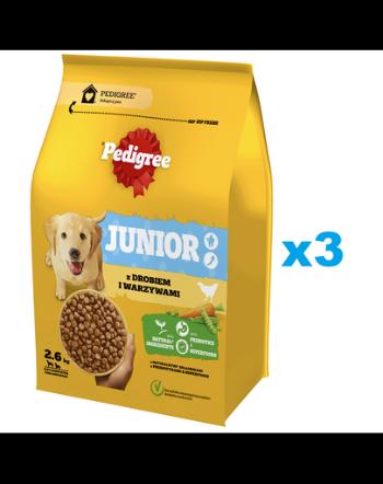 PEDIGREE Junior 3x2,6 kg hrana uscata catei talie medie si mare, pasare si legume