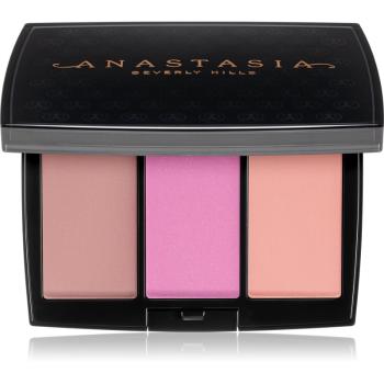 Anastasia Beverly Hills Blush Trio paleta fard de obraz culoare Pool Party 9 g