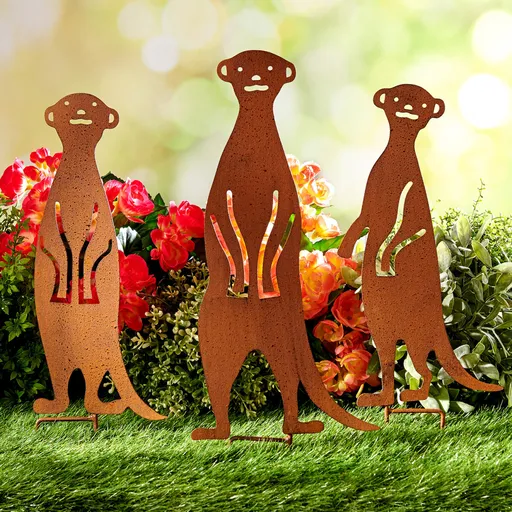 3 suricate cu miros