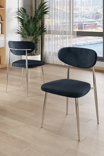 Set scaune 6 piese, Hanah Home, Vina, Antracit / Crom