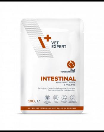 VET EXPERT Veterinary Diet Cat Intestinal plic 100g hrana umeda veterinara pentru pisici