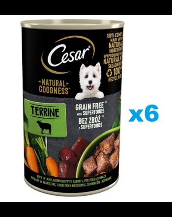 CESAR Natural Goodness Set conserve pentru caini, cu pui, igname si afine 6x400 g