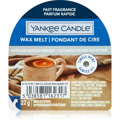 Yankee Candle Woodland Weekend Memories ceară pentru aromatizator 22 g