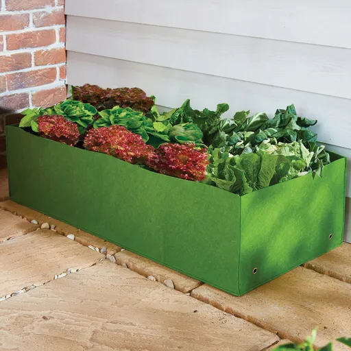 Ghiveci de plante multifunctional