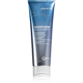 Joico Moisture Recovery balsam hidratant pentru par uscat 250 ml