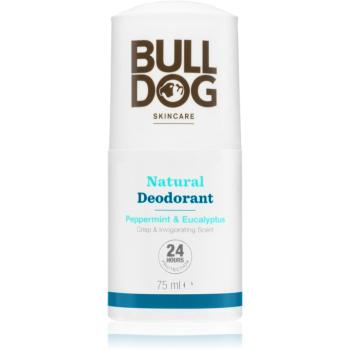 Bulldog Peppermint & Eucalyptus Deodorant Deodorant roll-on 75 ml