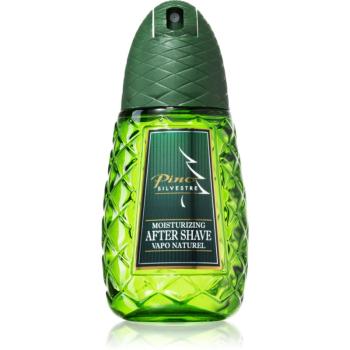 Pino Silvestre Pino Silvestre Original after shave cu atomizor pentru bărbați 125 ml