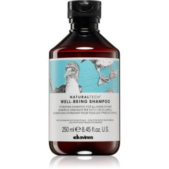 Davines Naturaltech Well-Being Shampoo šampon pro všechny typy vlasů 250 ml