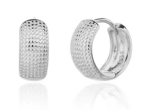 JVD Cercei eleganți din argint SVLE3358XJ60000