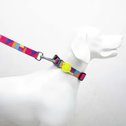 Lesă pentru câini, Paws & Whiskers, Spirit Small, Poliester, Multicolor