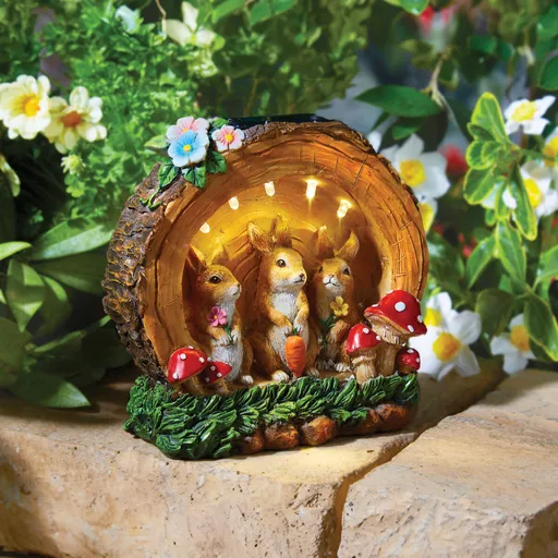 Familia Solar bunny Gainsborough