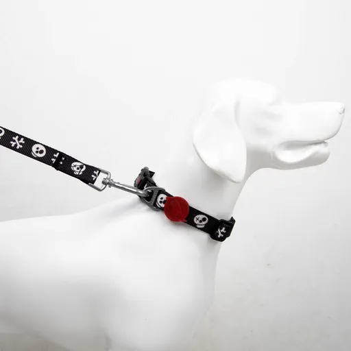 Lesă pentru câini, Paws & Whiskers, Boo Small, Poliester, Multicolor