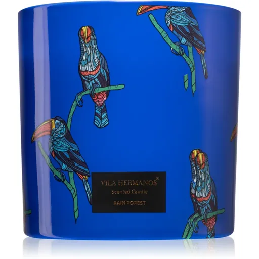 Vila Hermanos Jungletopia Rain Forest lumânare parfumată 620 g