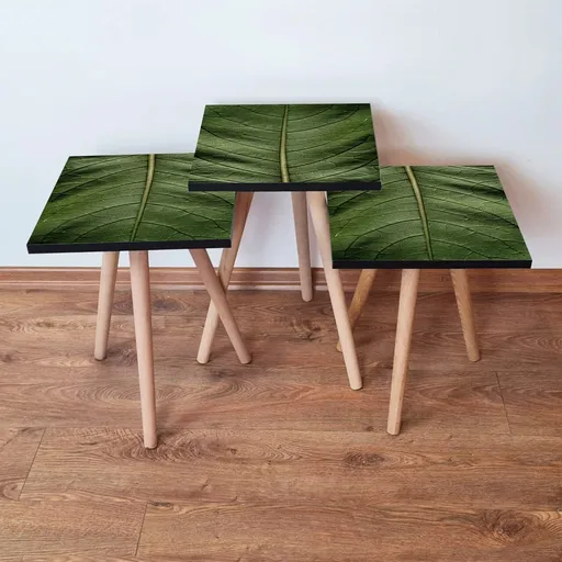 Set masute 3 piese, Hanah Home, 3Shp103, Verde