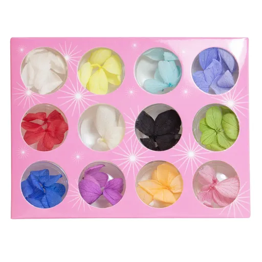 Decor Unghii, Flori Uscate, set 12 Culori Mix