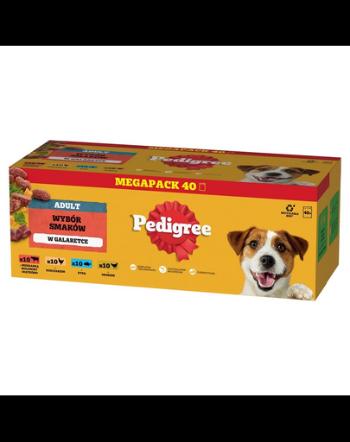 PEDIGREE Adult plicuri in aspic pentru caini 40x100g cu vita, pui, peste, pasare