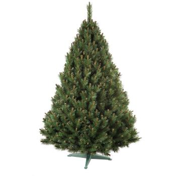 Pom de Crăciun Pin, 160 cm, 160 cm