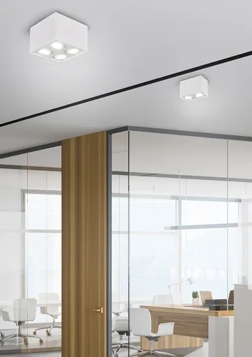 Plafoniera Biscuit, TRIO, 17.8x9.6x12.5 cm, 35W, 2x GU10, metal, alb mat