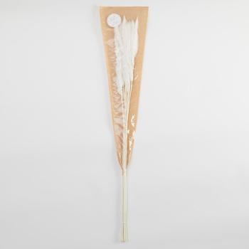 FLOWER MARKET szárított pampafű, krémszín 70cm