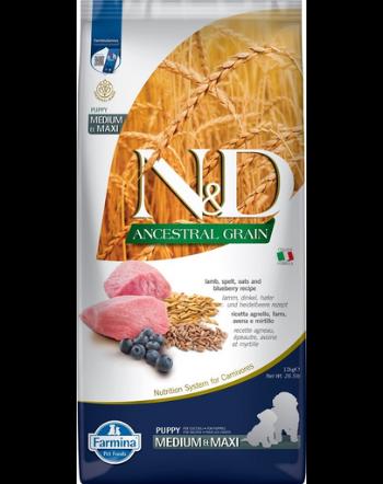 N&amp;D Low Grain Dog Lamb &amp; Blueberry Puppy Medium &amp; Maxi Sac hrana catei talie medie si mare, cu miel si afine 12 kg