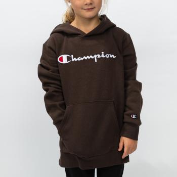 Champion Hooded Sweatshirt S