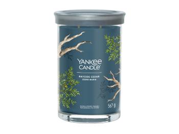 Yankee Candle Lumânare aromatică Signature tumbler pahar mare Bayside Cedar 567 g