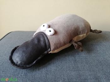 Kacsacsőrű Emlős, Hasmánt Platypus, Furcsa Ausztrál Emlősállat, mely bár cuki, de egyben veszélyes is egy kicsit