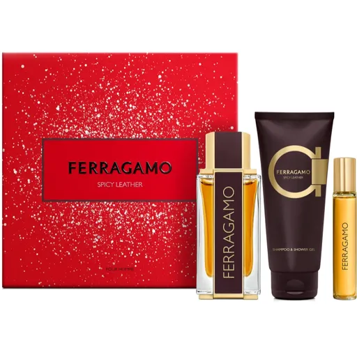 Ferragamo Spicy Leather set cadou pentru bărbați