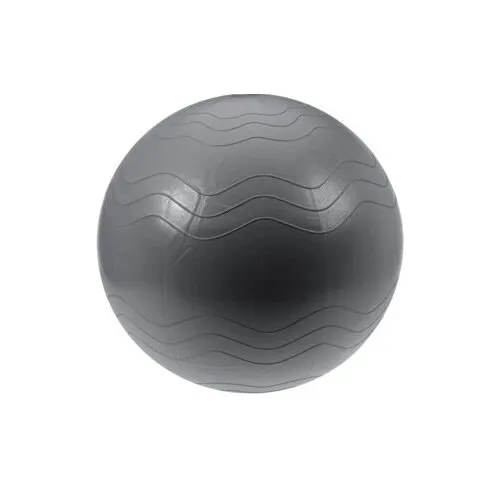 Instrument fitness XQ Max Yoga Ball diam. 65 cm, argintiu, argintiu