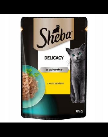 SHEBA Delicacy in jelly 85g bucati de pui in gelatina pentru pisici
