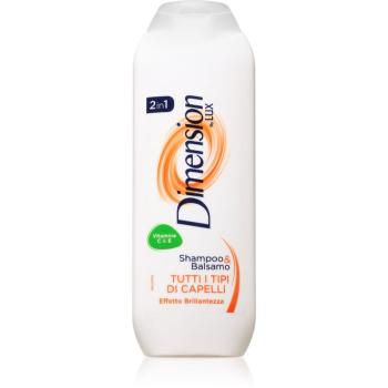 Dimension by Lux 2in1 sampon si balsam 2 in 1 pentru toate tipurile de păr 250 ml