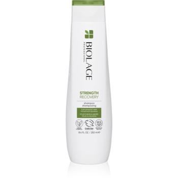 Biolage Strength Recovery șampon pentru par deteriorat 250 ml