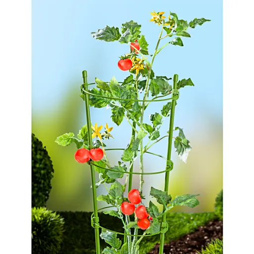 3 Suporturi pentru plantele cățărătoare