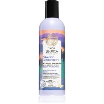 Natura Siberica Taiga Siberica Siberian Juniper Berry șampon pentru protecția părului vopsit 270 ml