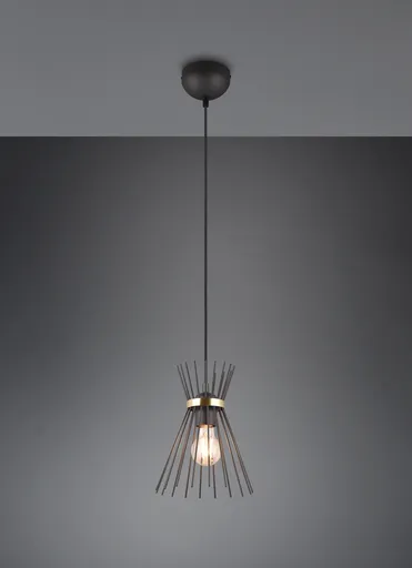 Lustra Rod, RL, 20x25 cm, 40W, 1x E27, metal, negru/auriu