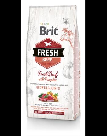 BRIT Fresh Puppy Large Hrana uscata catei talie mare cu vita si dovleac 2,5 kg