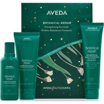 Aveda Holiday Botanical Repair™ Strengthening Essentials set cadou pentru intarirea parului