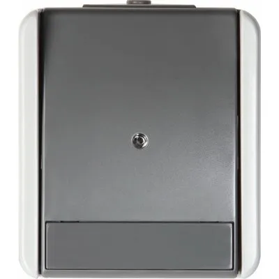 Fontana Int. Simplu 1P 10A IP44 Gri, TEM Modul TEM-SF10GYTI-U