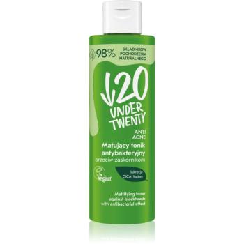 Under Twenty ANTI! ACNE tonic pentru curățare, cu efect de matifiere impotriva punctelor negre 200 ml