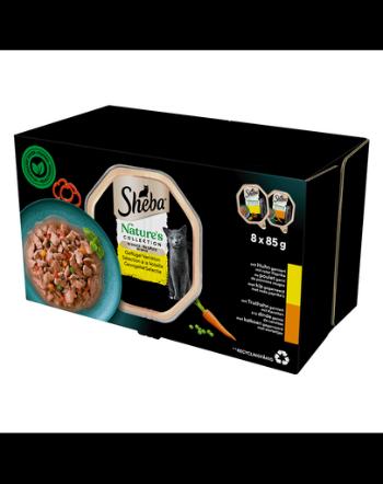 SHEBA Nature's Collection Hrana umeda pisici in tava, cu sos 8x85g pui cu ardei si curcan cu morcovi