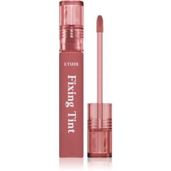 ETUDE Fixing Tint ruj cu persistență îndelungată cu efect mat culoare #05 Midnight Mauve 4 g