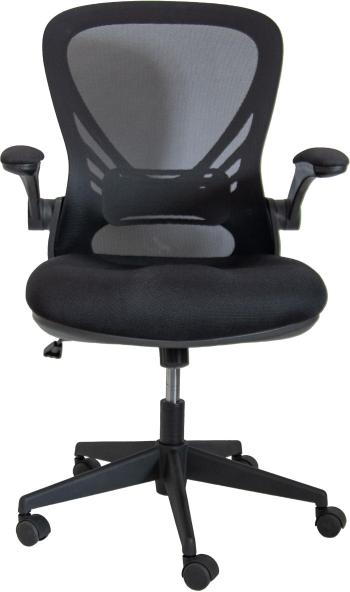 Irodai szék Alba RUBY