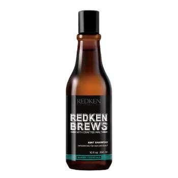 Redken Sampon revigorant din mentă pentru bărbați Brews (Mint Shampoo) 300 ml