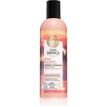 Natura Siberica Taiga Siberica Altai Pine Bark șampon regenerator pentru par deteriorat 270 ml